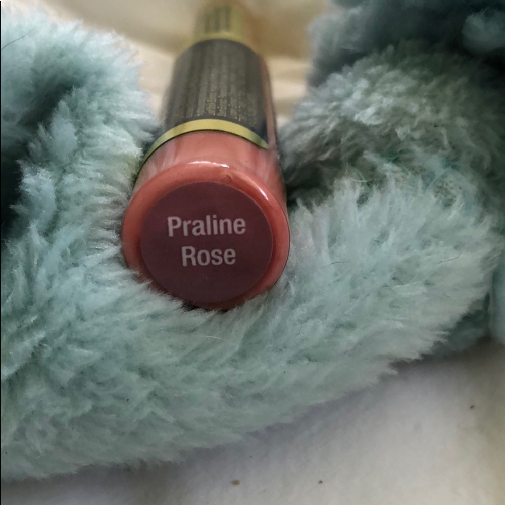 Lipsense Praline Rose shade